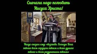 «Богородице Дево, радуйся!» Отец Андрей. Ткачёв 