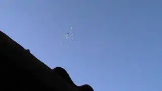 Пермские голуби.