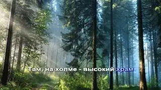Песняры - Полонез (караоке)