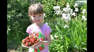 Первая клубничка/день рождения у мамы