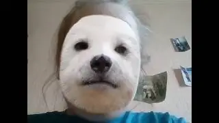Я стала собакой