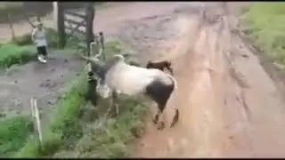 ilginç videolar(10)