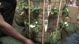 20 Square Feet in 4 Sq Ft of Space with the Phytopod Container Garden