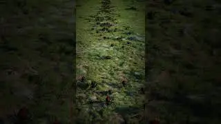 Black Widow Spiders in Blender #shorts #blender #spyderfy