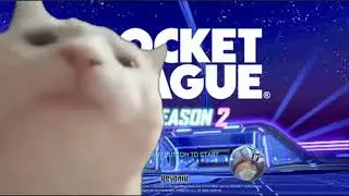 Cat vibing to Rocket League Season 2 Intro