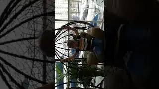 17 ноября 2018 г.Сережа в океанариуме на втором этаже