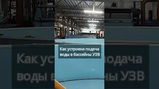 Как устроена подача воды в бассейны УЗВ #система #узв #рыба #бассейн