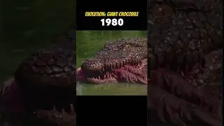 Evolution of. Giant Crocodile 