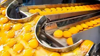 AMAZING MANUFACTURING PROCESSES that EVERYONE SHOULD SEE before they DIE God Level