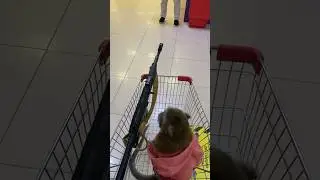 Заехали в магазин