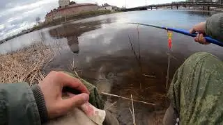 Fishing in Vyborg. Float fishing, roach, Vyborg Bay. 