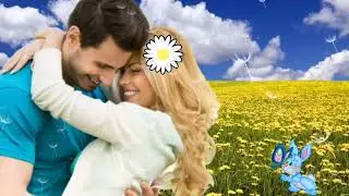 Одуванчик, ты мой, одуванчик