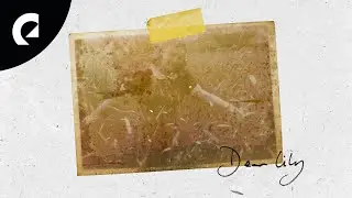 Houses On The Hill - Dear Lily