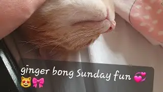 Cutest moments with my cat part.5