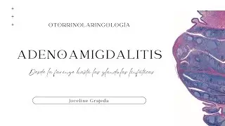 Las adenopatías: desde la faringe hasta las glándulas linfáticas