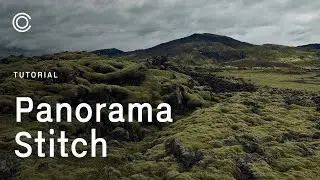 Capture One Pro Tutorials | Panorama Stitch