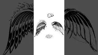 Drawing a Surf Eagle in Procreate #shorts