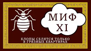 Мифы о клопах. Миф №11Клопы живут только в грязных квартирах