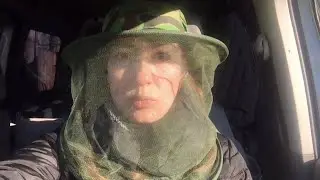 Забираем среднерусских пчёл