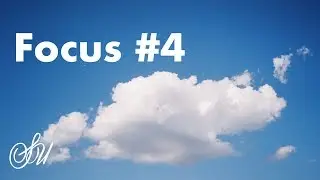Focus #4