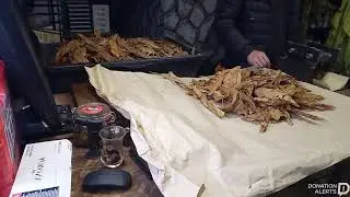 IGOR CHEREPANOV в прямом эфире!