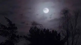 NIGHT TIMELAPSE