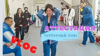 VLOG - Brazilian JIU-JITSU in Greece || Purple Belt Certification