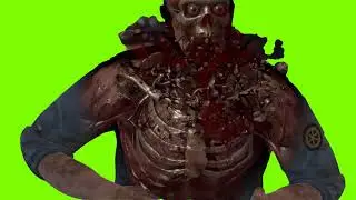 Green Screen - Sniper Elite 4 X-Ray
