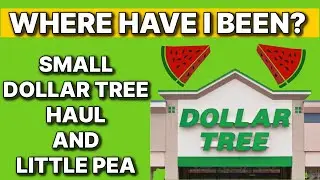 WHERE HAVE I BEEN? DOLLAR TREE HAUL AND LITTLE PEA