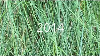 What Natalie did in 2014