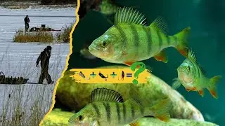 Thrilling World of Underwater Predators 🌄🌲