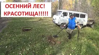 ОСЕННИЙ МЕТАЛЛА КОП,НЕ ДАЛЕКО ОТ ДОМА! ХОРОШИЙ РЕЗУЛЬТАТ ЗА КОРОТКОЕ ВРЕМЯ! ОСЕНЬ, ЛЕС, КРАСОТИЩА!!!