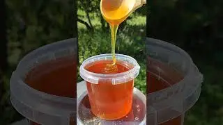 Мëд лесное Разнотравье