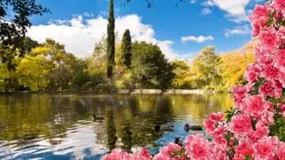 Les Feuilles Mortes - Andrea Bocelli