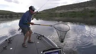 Jerkbaits...around grass mats? Yep!
