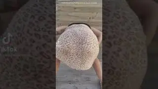 TWERK IT COMPILATION