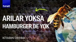 Arısız bir dünyanın Mars'tan farkı yok | Kitabın Ortası