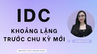 IDC khoảng lặng trước chu kỳ mới | Cổ phiếu IDC Nguyen Tuyet Nhung Stock