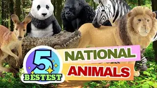 5 Bestest National Animals