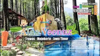 Alas Veenuz Trawas Mojokerto Jawa Timur || Playground dan Taman Kelinci