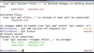 009 The Git Log Command And More Committing