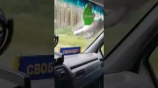Снова в рейсе! 
