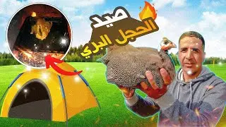 البرية المغربية : تحدي صيد الحجل البري بفخ  بداءي صاحب أقوى صوت / محمر في الفرن التقليدي