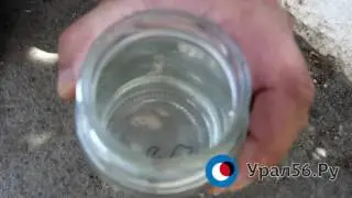 В Орске из крана с питьевой водой вылез червь