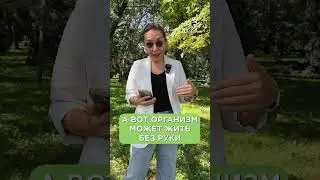 Самая БОЛЬШАЯ ошибка при ЛЕЧЕНИИ своего организма! 
