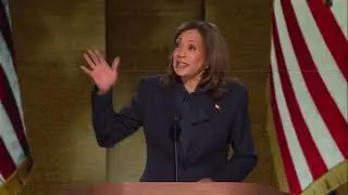 Kamala Harris says 'Donald Trump tried to throw away your votes' in DNC speech