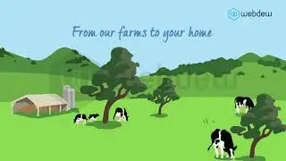 2D Character Animation Explainer Video for Freedom Food  by Webdew- 
