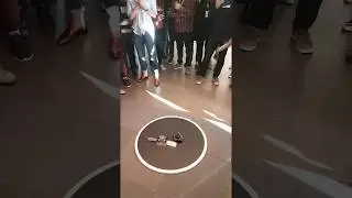 Sumo robot challenge