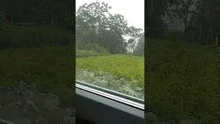 Ох, уж эта 🌍☀⛅☁💧⚡❄