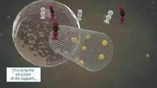 Loughborough University Catalyst Explainer Animation